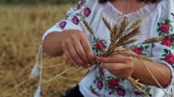 Nők Fonják Koszorú Napraforgó Búza Réten — Stock videók