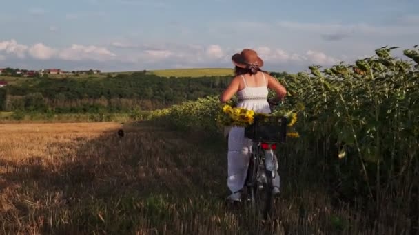 Žena Klobouku Bílých Šatech Bicyklem Prochází Pylem Slunečnicemi — Stock video