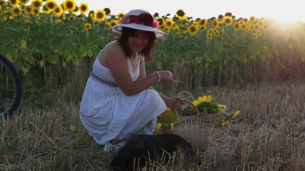 一个头戴帽子 身穿白衣的女人坐在向日葵旁边的一块割过的地里 与一只狗玩耍 — 图库视频影像