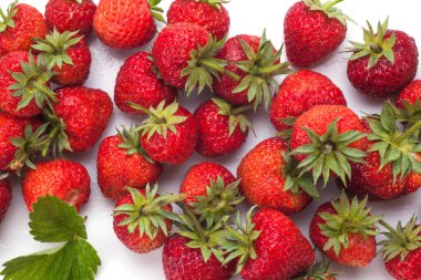 Yapraklı çilek. Beyaz bir arkaplanda izole edilmiş.