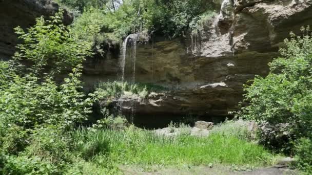 在森林深处的一个小瀑布附近 — 图库视频影像