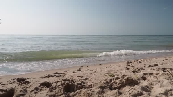 阳光明媚的日子 男人和女人沿着海滨散步 他们手牵着手 在温暖的天气里 在碧绿的浪花的灌溉下 缓缓地沿着大海的沙滩漫步 — 图库视频影像