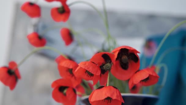 Stillleben Von Rotem Mohn Und Kaffee Auf Winterlichem Holzstuhl — Stockvideo