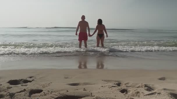 Ein Mann Und Eine Frau Steigen Händchenhaltend Aus Dem Wasser — Stockvideo