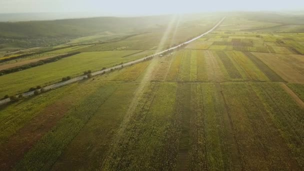 Aereale Volo Sui Campi Tramonto Bellissimo Paesaggio Con Campi Alberi — Video Stock