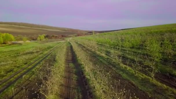 Літає Над Садом Повітряний Переглядач Яблунь — стокове відео