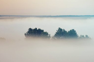Puslu peyzaj Drohiczyn nehir hata Polonya