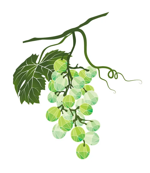 Ramo de uvas verdes estilizadas poligonales — Vector de stock