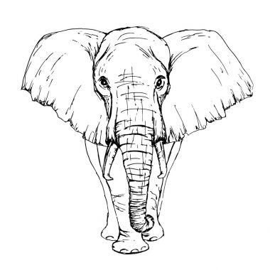 Free Free 178 Elephant Line Drawing Svg SVG PNG EPS DXF File