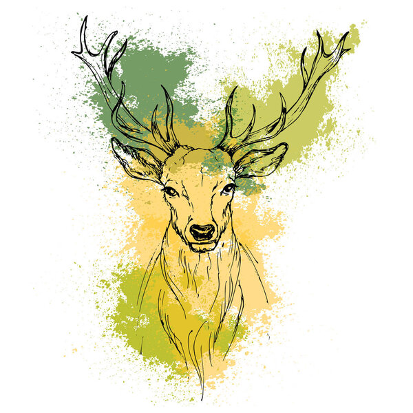 Sketch by pen Noble deer front view on the background of waterco