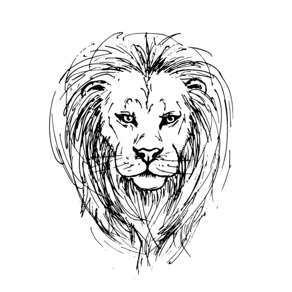 Bosquejo por pluma de una cabeza de león — Vector de stock