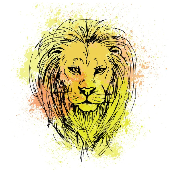 Sketch by pen of a lion head  on a background of colored waterco