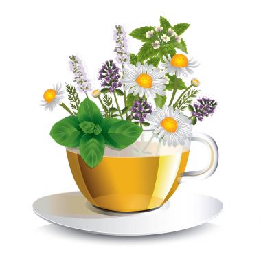 Aromatik otlar ile şeffaf bir fincan bitkisel çay