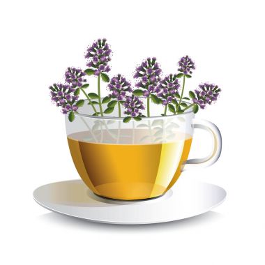 Vektör çizim şeffaf bir bardak kekik aromatik bitkisel çay