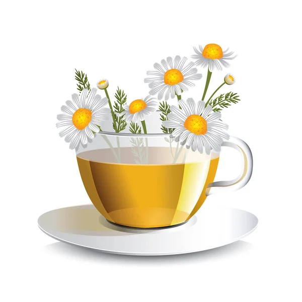 Vector illustration chamomile herbal tea in a transparent cup — Stock Vector