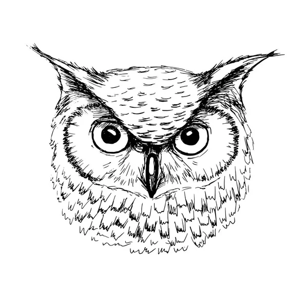 Vector sketch of owl head ballpoint pen — Stock Vector