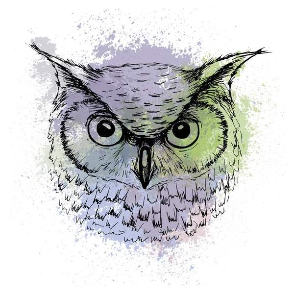 Vector sketch of owl head on a background of colored watercolor — Stock Vector