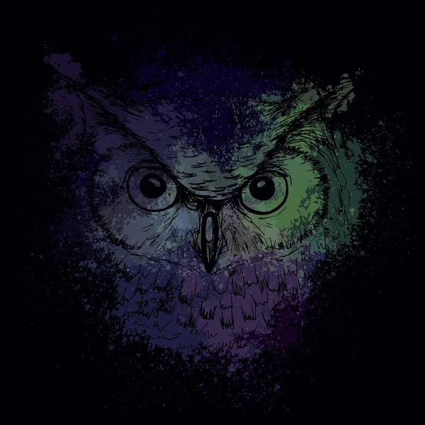 晚上在背景明亮的彩色斑点猫头鹰的头, — 图库矢量图片