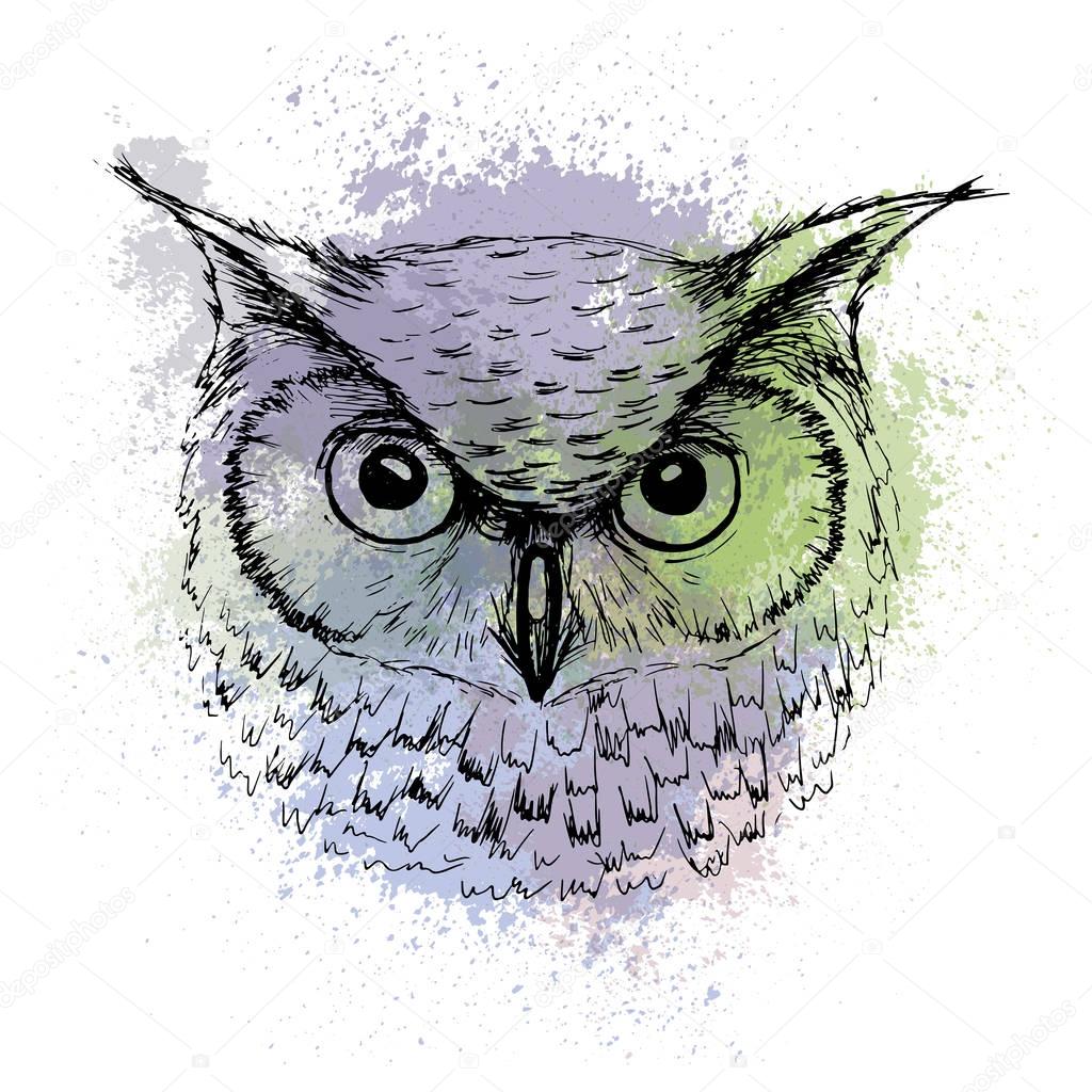 Vector sketch of owl head on a background of colored watercolor 