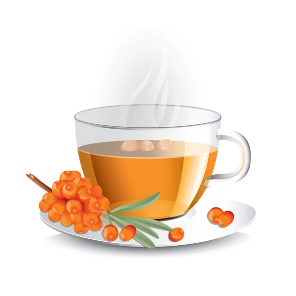 Sea buckthorn tea in transparent glass cup with haze, vector ill — Stock Vector