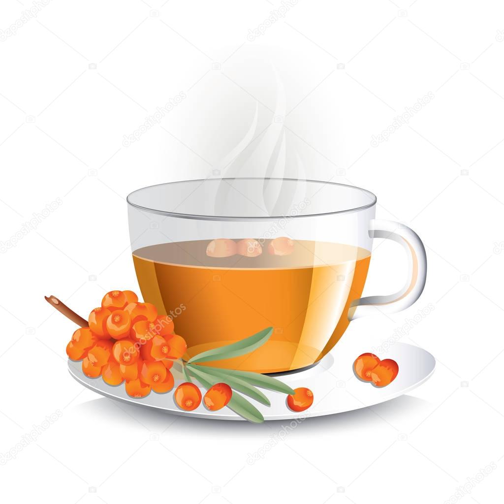 Sea buckthorn tea in transparent glass cup with haze, vector illustration for package design