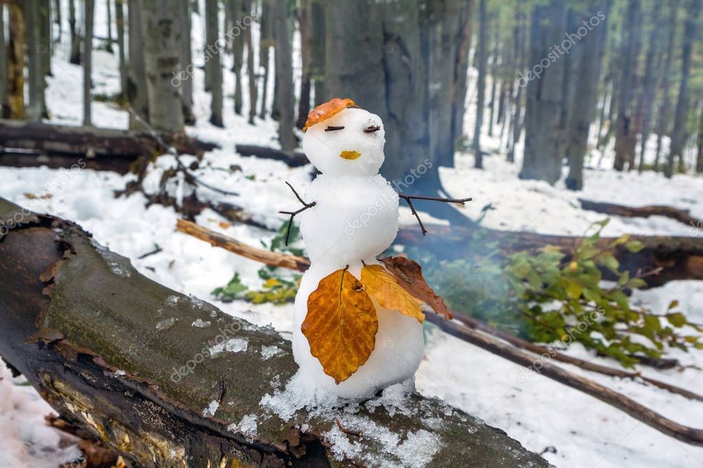 A lovely snowman woman  decorated with autumn leaves