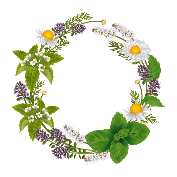 Vector round ornament of herbs and flowers for labels — Stock Vector