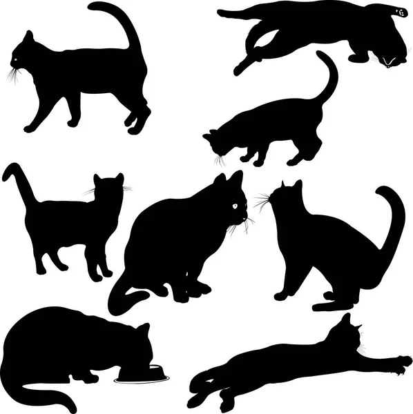 Macskák sziluett gyűjtemény - vektor — Stock Vector