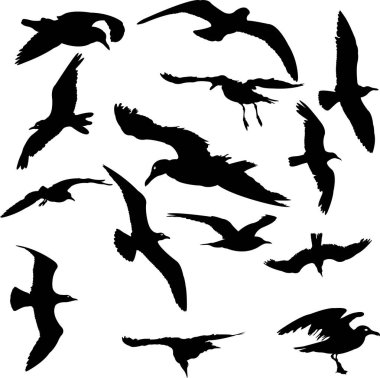 Kuş Silhouettes koleksiyonu - vektör