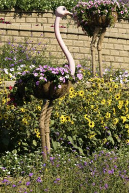 Güzel besteleri çiçek; Doğal Çiçek Bahçe ve peyzaj