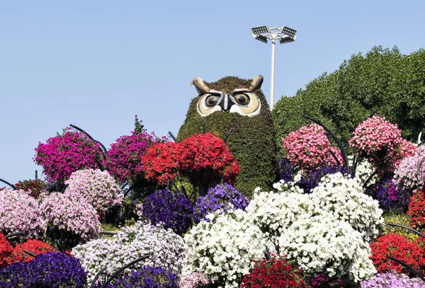 Natural Flower Garden Landscape Owl Decorated Flowers — Stock Photo, Image