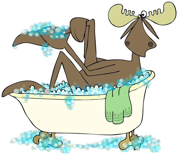 Alce tomando um banho de espuma — Fotografia de Stock