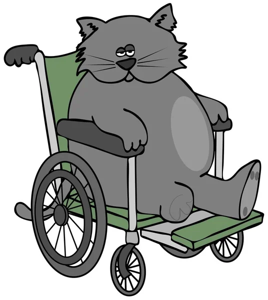 휠체어에 3 개의 다리가 있는 고양이 — 스톡 사진