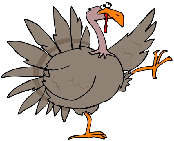 Illustration Brown Tom Turkey Kicking Its Leg Wing — Stock Photo, Image