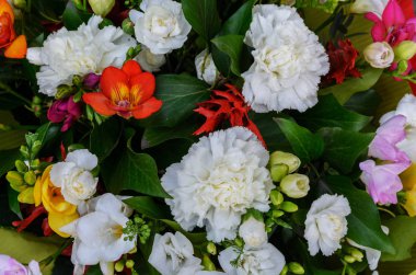 Beyaz kırmızı pembe çiçekler yeşil yaprakları