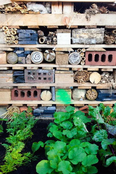 Bugs hotel in a garden