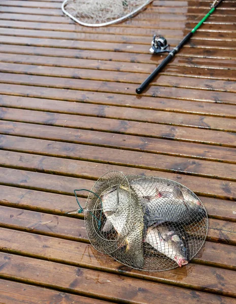 Fish carp in metal basket