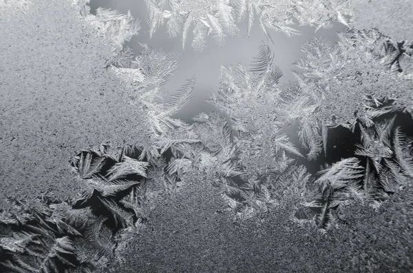 Patrón de hielo en vidrio de invierno — Foto de Stock