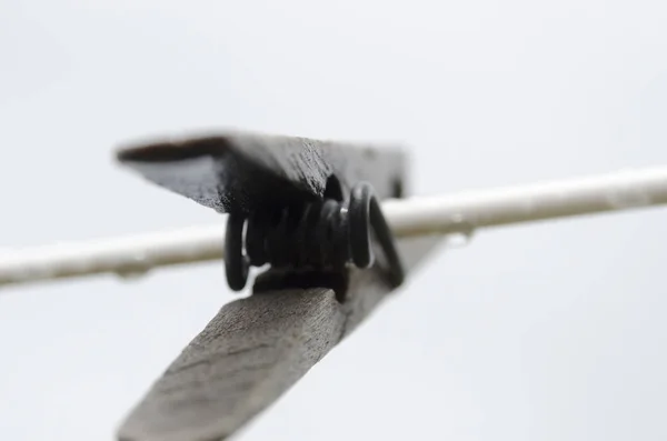 Clip washing on the line — Stock Photo, Image