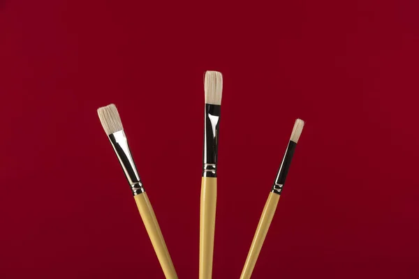 Paint Brushes White Bristles — Stock Photo, Image