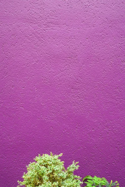 Fondo de pared de piedra rosa — Foto de Stock