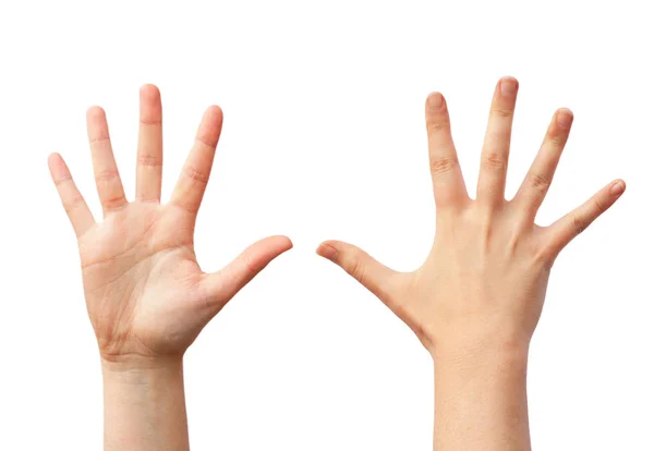 Two human hands — Stock Photo, Image