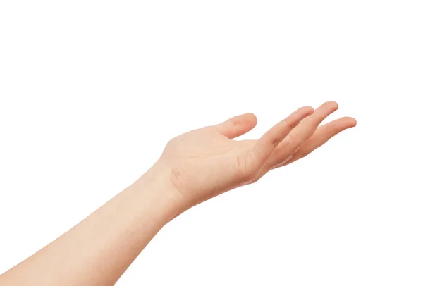 Ber mänsklig hand isolerad på vit — Stockfoto