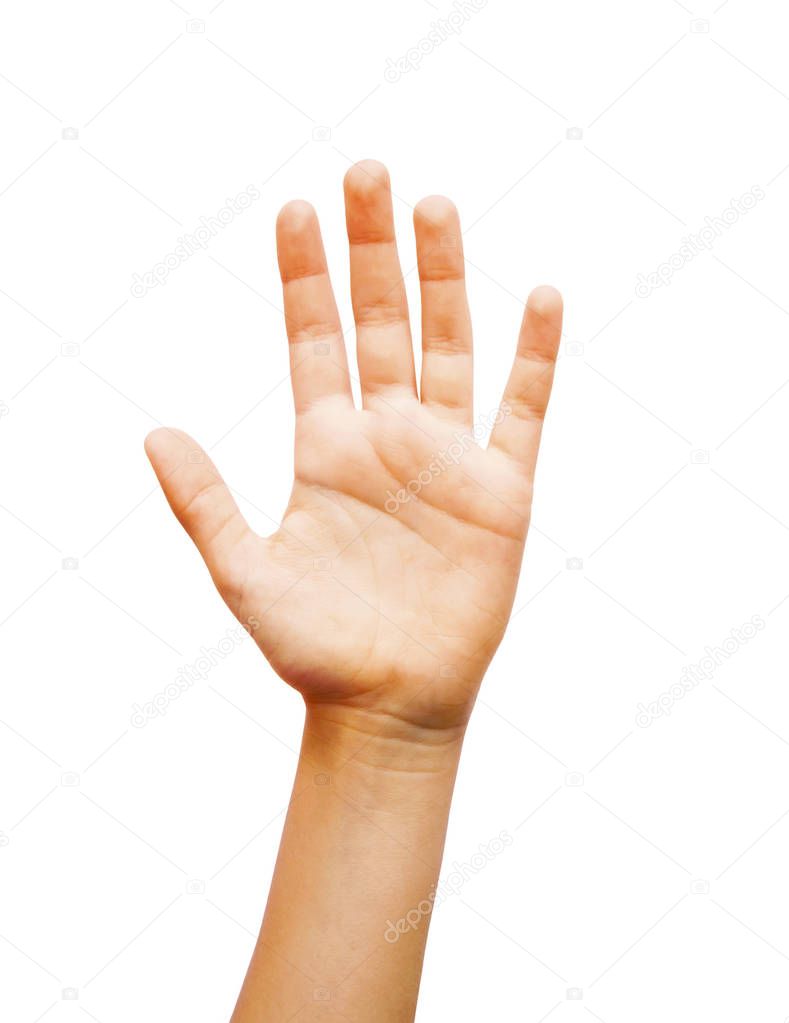 Voting human hand isolated on white background