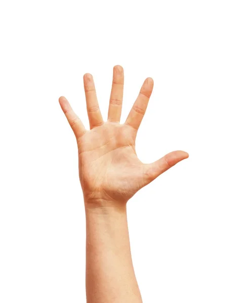 Open menselijke hand geïsoleerd op witte achtergrond — Stockfoto