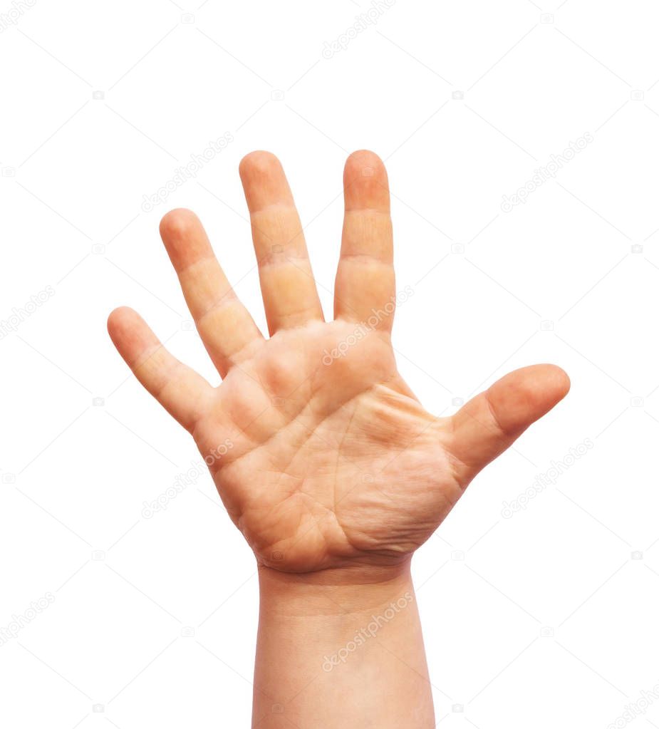 Human hand isolated on white background