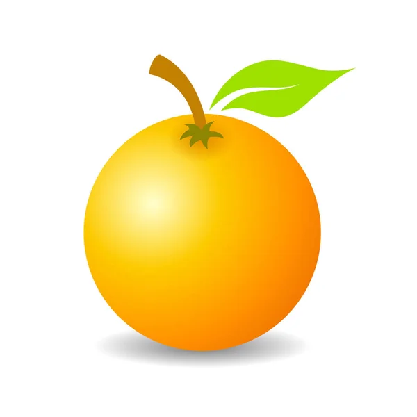 Ikon vektor buah oranye tropis - Stok Vektor