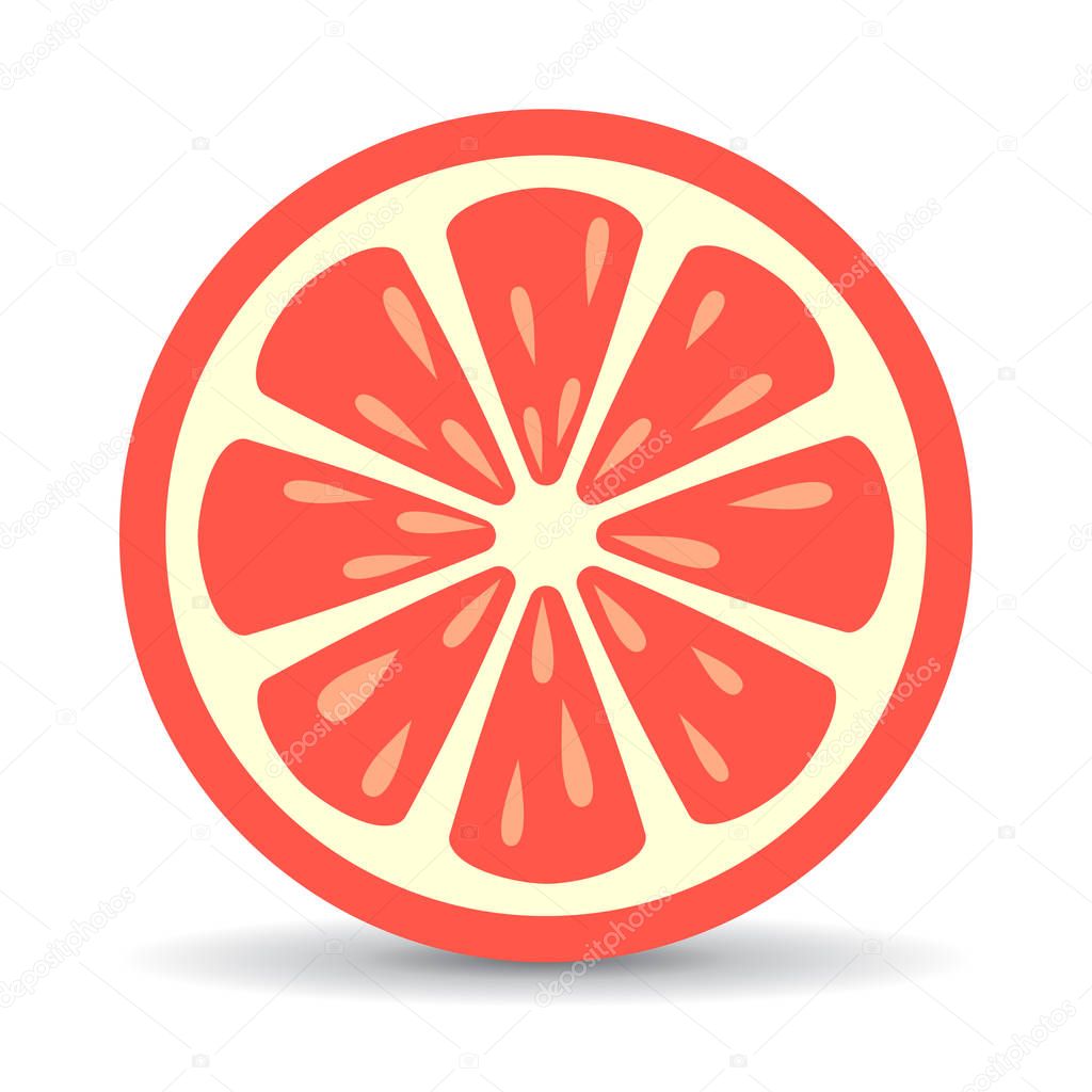 Grapefruit vector icon illustration isolated on white background