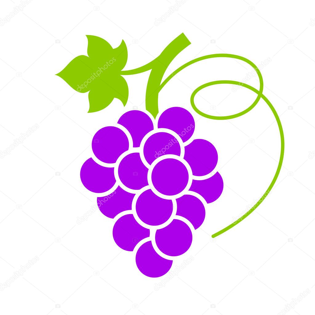 Natural sweet grape vector icon