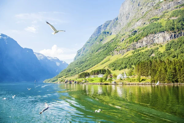 Sognefjord in Norway, travel photo
